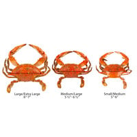 Chesapeake Crab Connection Small-Extra Large 5" - 7" Extra Seasoned Steamed Female Crab - 1/2 Bushel