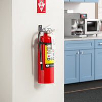 Badger Advantage ADV-10 10 lb. Dry Chemical ABC Fire Extinguisher with Wall Bracket - Tagged and Rechargeable