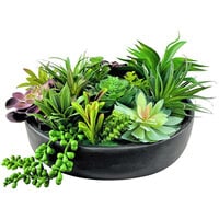 LCG Sales Artificial Succulent Garden in Black Ceramic Dish