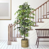 LCG Sales 6' Artificial Ficus Tree in Basket with Handles