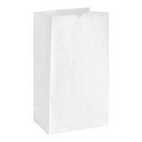 Choice 16 lb. White Paper Bag - 500/Case