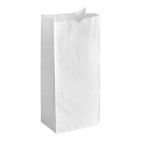 Choice 10 lb. White Paper Bag - 500/Case