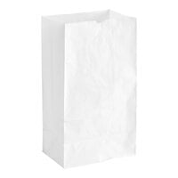 Choice 20 lb. White Paper Bag - 500/Case