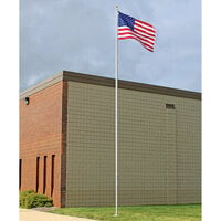 Valley Forge 30' Aluminum In-Ground Flag Pole with Gold Topper Ball