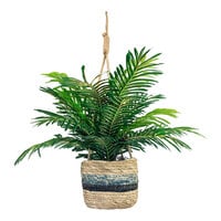 LCG Sales 30" Artificial Phoenix Palm in Tri-Color Hanging Basket