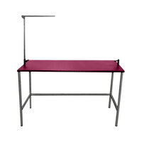Groomer's Best GB48SST-PI 24" x 48" x 54" Pink Stainless Steel Stationary Grooming Table with Arm