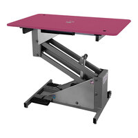 Groomer's Best GB36ELT-PI 24" x 36" Electric Pink Grooming Table