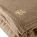 A close-up of a tan fleece blanket with a golden eagle on it.