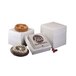 A white Polar Tech insulated shipping box with a white foam container holding a round cake with white frosting and strawberries on top.
