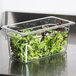 A Carlisle clear plastic food pan filled with lettuce on a kitchen counter.
