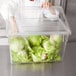 A chef in a clear Rubbermaid container with lettuce inside.