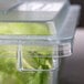 A clear Rubbermaid polycarbonate food storage box lid on a plastic container with green leaves inside.