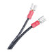 A pair of black and red cables with red connectors.