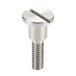 A close-up of a stainless steel shoulder screw.