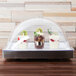 A Cal-Mil stainless steel chilled sampler display with a glass dome covering a variety of desserts.