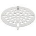 A stainless steel T&S flat strainer with holes over a metal drain.