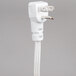 The white electrical plug for a Curtron Pest-Pro BL300 flying insect control light.