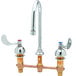A white T&S medical lavatory faucet with 4" wrist action handles and rosespray.
