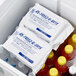 A Polar Tech Re-Freez-R-Brix foam freeze pack in a white plastic container with a white lid.