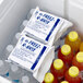 A cooler with plastic bags of liquid and bottles of liquid using Polar Tech Re-Freez-R-Brix freeze packs.