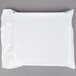 A Polar Tech Re-Freez-R-Brix foam freeze pack in a white plastic bag.