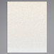 Menu paper with a white surface and a Southwest themed desert design in beige.