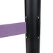 A black stanchion pole with dual purple belts.