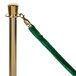 A gold metal pole with a green fabric rope.