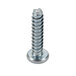 A close-up of a Waring screw with a metal head.