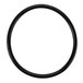 A close-up of a black rubber o-ring.