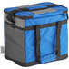 A blue and black insulated nylon cooler bag with a zipper.