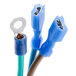 A close-up of a blue electrical cable with two blue wires.