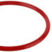 A red rubber O-ring with a white background.