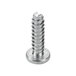 A close-up of a metal Waring screw.