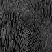 A close up of a textured black wood grain pattern.