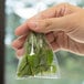 A hand holding an LK Packaging candy bag filled with mint leaves.