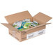 A box of 60 Classic Gourmet Blue Cheese Dressing portion packets.