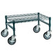 A green metal Regency mobile dunnage rack with black wheels.
