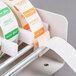 A Noble Products dispenser with 7 rolls of dissolvable day of the week labels.