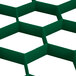 A green plastic grid with white holes.