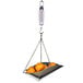 A Taylor hanging spring scale with a basket of oranges.