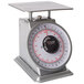A grey Taylor heavy duty mechanical portion scale with a white circle on it.