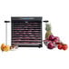 A Excalibur stainless steel food dehydrator with fruits and vegetables drying on trays.
