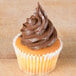 A cupcake with chocolate frosting piped in an open star design.