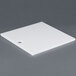A white square ARY VacMaster filler plate.