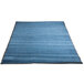 A blue carpet entrance mat with a black border.
