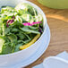 A white melamine bowl filled with salad with green and purple leaves.