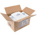 A cardboard box with white Polar Tech Ice Brix bags inside.