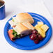 A sandwich and fruit on a Creative Converting cobalt blue paper plate.