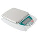 A white Taylor Precision digital portion scale on a counter.